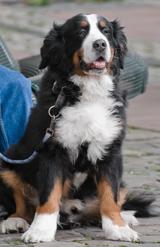 XYZ Anton-Pfalz-2-2010-D34_0153-als-Smart-Objekt-1.jpg